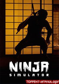Ninja Simulator