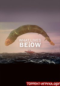 What Lives Below